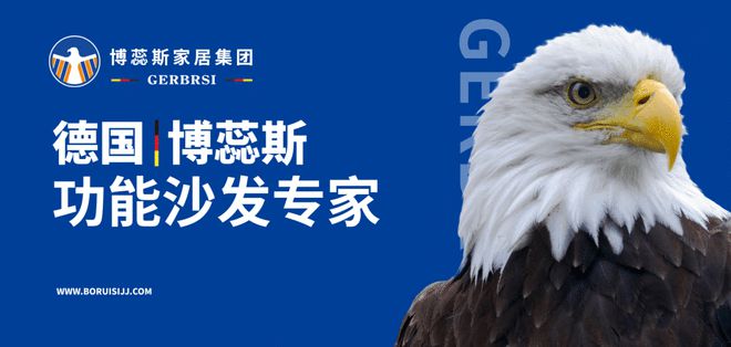 3377体育官网博蕊斯——功用沙发专家 大国隐形冠军(图1)